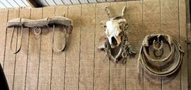 Antique Double Yoke Two Horse Pulling Cart, Lasso, Skull And More Contents Of Wall