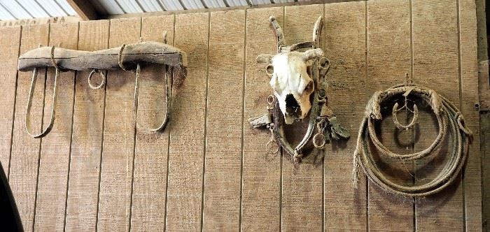 Antique Double Yoke Two Horse Pulling Cart, Lasso, Skull And More Contents Of Wall