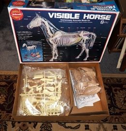 Skilcraft Visible Horse Anatomically Accurate Model Kit, Skill Level 2, Brand New, Unused, Unassembled