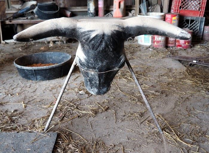 Roping Practice Dummy Bull Head On Metal 3 Legged Stand