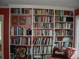 This is a small selection of books in the house