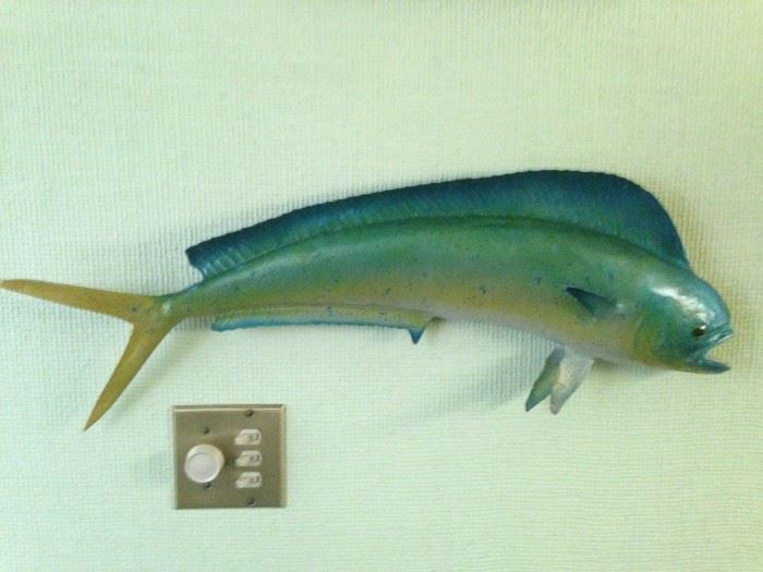 mounted dolphin fish
