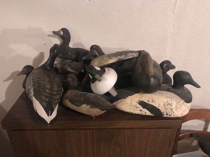 Many antique decoys some with provenance