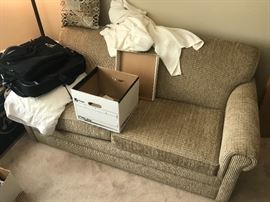 sleeper sofa in pristine condition