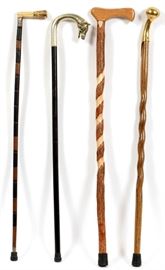 WALKING STICKS, 4