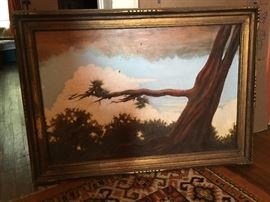 “Kyoto Pine” by Jeremy Ayers