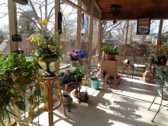 Plants & Flower Pots