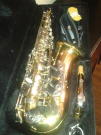 2 year old  Alto Saxophone 