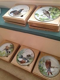 Duck/bird plates
