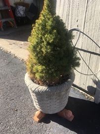 large collection of outdoor planters