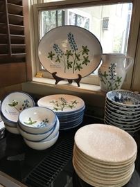 Italian Pottery Bluebonnet pottery