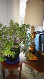 Jade plant, 