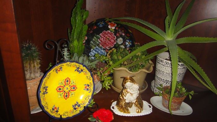 Plants , pottery 