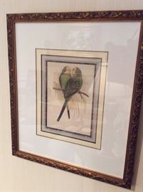 Parrot Art