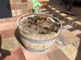 3 organic food containers for backyard gardening! 