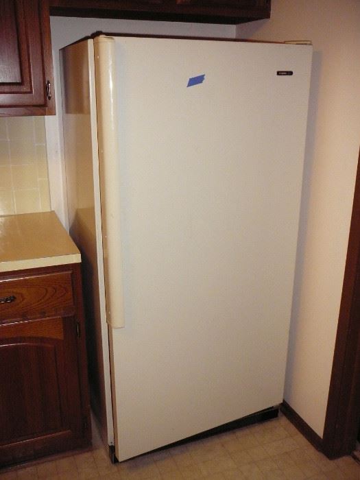 Fridgidarie Refrigerator - works great 