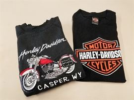 HARLEY258a