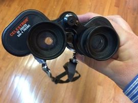 Celestron binoculars