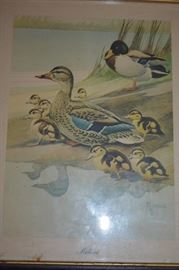 Beautiful Artwork of Wildlife Ducks in these to Signed pieces of Art