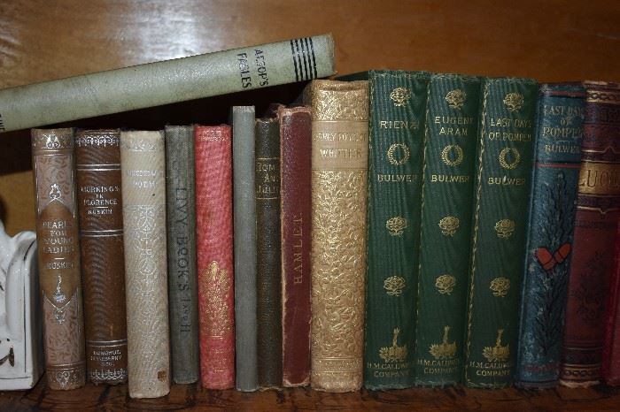 Just some of the Many, Many Books in this Estate which includes lots of 1st Editions from the 1800's-early 1900's and more. The Books run the "Gamut" from Educational to Historical to Novels to Civil War to Children's to Religious to Reference. 