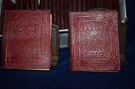 Just some of the Many, Many Books in this Estate which includes lots of 1st Editions from the 1800's-early 1900's and more. The Books run the "Gamut" from Educational to Historical to Novels to Civil War to Children's to Religious to Reference. 