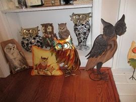             OWLS & OWLS  & MORE OWLS