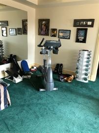 Workout gear for sale including the Vectra weight set for $140