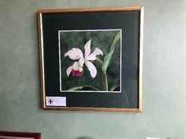 Hajime Kondo "Pink Orchid"