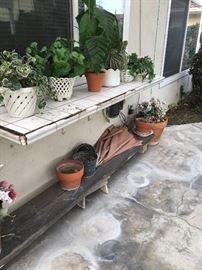 Large selection of garden pots