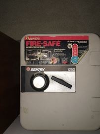 Sentry fire safe