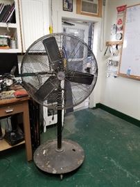 shop fan
