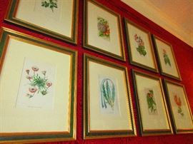 8 framed French botanicals circa 1800