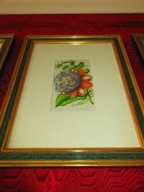 framed French botanical circa 1800
