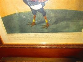 Robert Pollard, London 1824, framed chromolithograph, "Phenomenon"