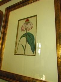 19th C. Botanical