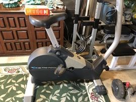 GL - 35 PRO FORM BIKE