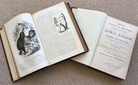 2 Volume Set: Johnson's Natural History, The Animal Kingdom Illustrated, 1869, New York, with Partial Leather Binding