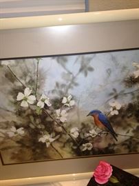 Bluebird picture