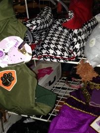 Dog clothes