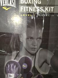 Everlast boxing fitness kit