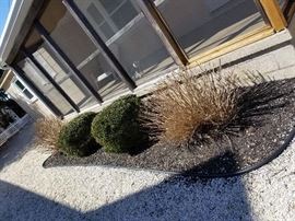 Landscaping