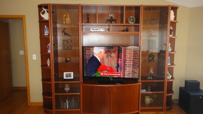 Contemporary Wall Unit, holds flat screen TV