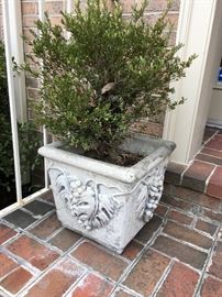 Concrete garden planter (1 of 2)