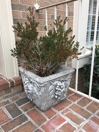 Concrete garden planter (2 of 2)