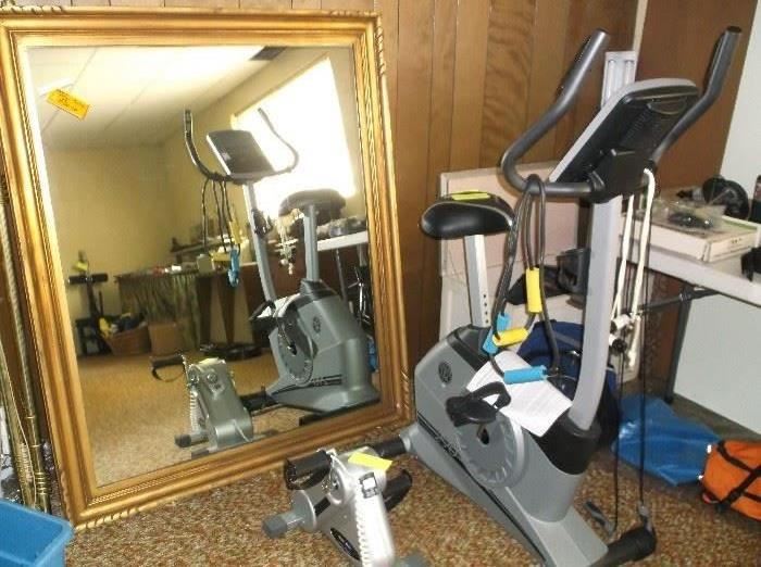 Huge mirror and exercise cycles