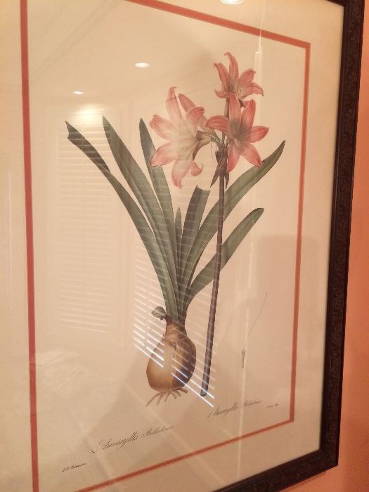 Botanical prints. Approximately a dozen framed floral/botanical prints.