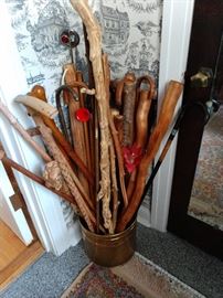 walking sticks, canes