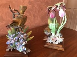 Dorothy Doughty Oven Birds