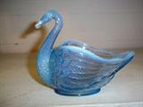 Opalescent Swan