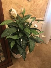 Artificial Peace Lilly
